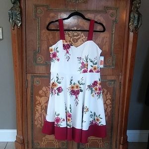 0818 Cloud & Sky T Strap Knit Dress